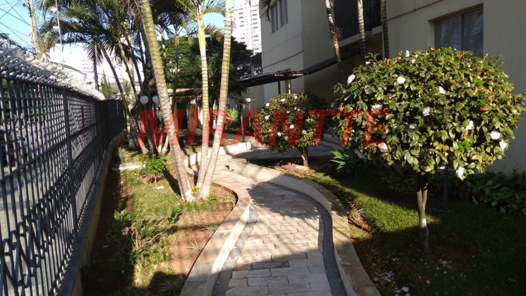 Apartamento de 85m² com 3 quartos em Mandaqui