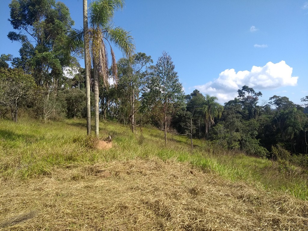Terreno de 142000m² em Serra da Cantareira