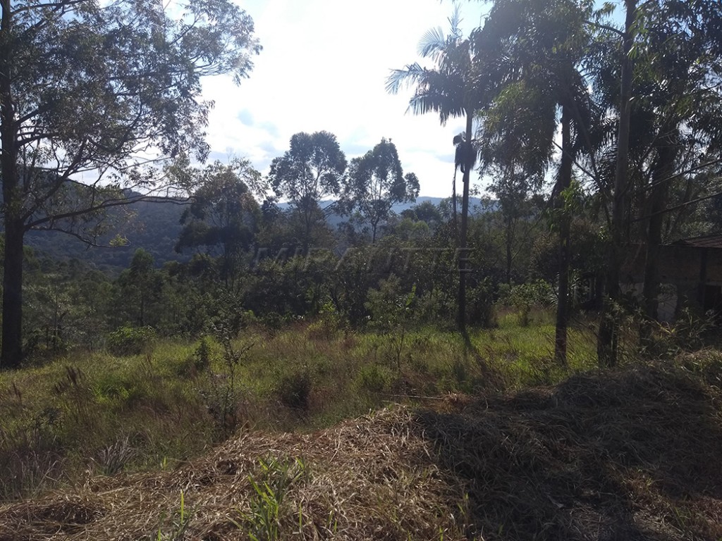 Terreno de 142000m² em Serra da Cantareira
