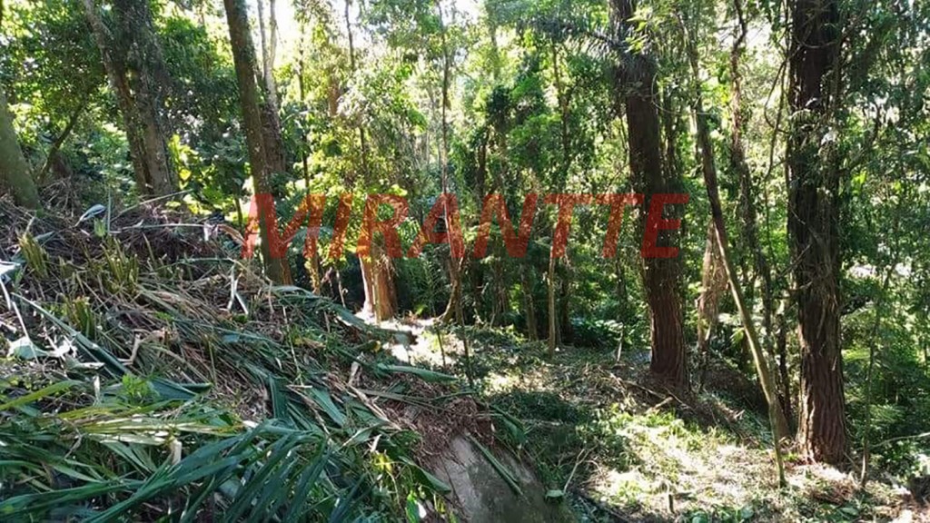 Terreno de 683m² em Serra da Cantareira