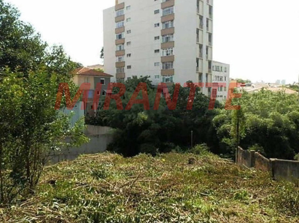 Terreno de 1753m² em Vila Mariana
