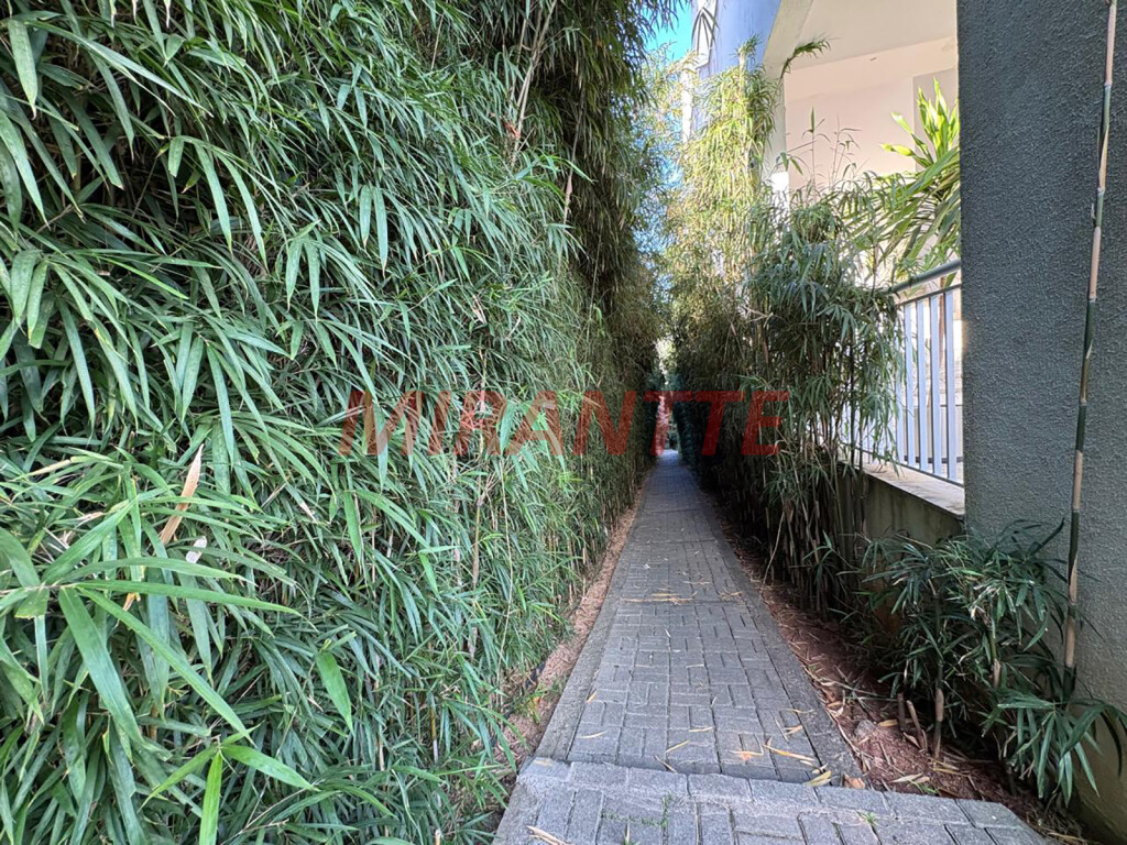 Apartamento de 118m² com 3 quartos em Lauzane Paulista