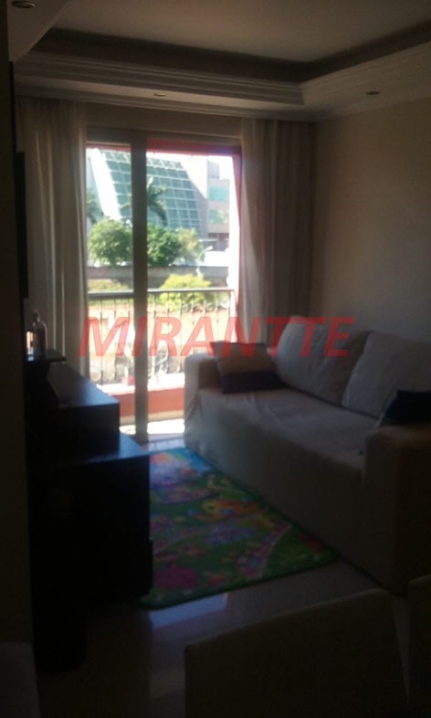 Apartamento de 65m² com 3 quartos em Mandaqui