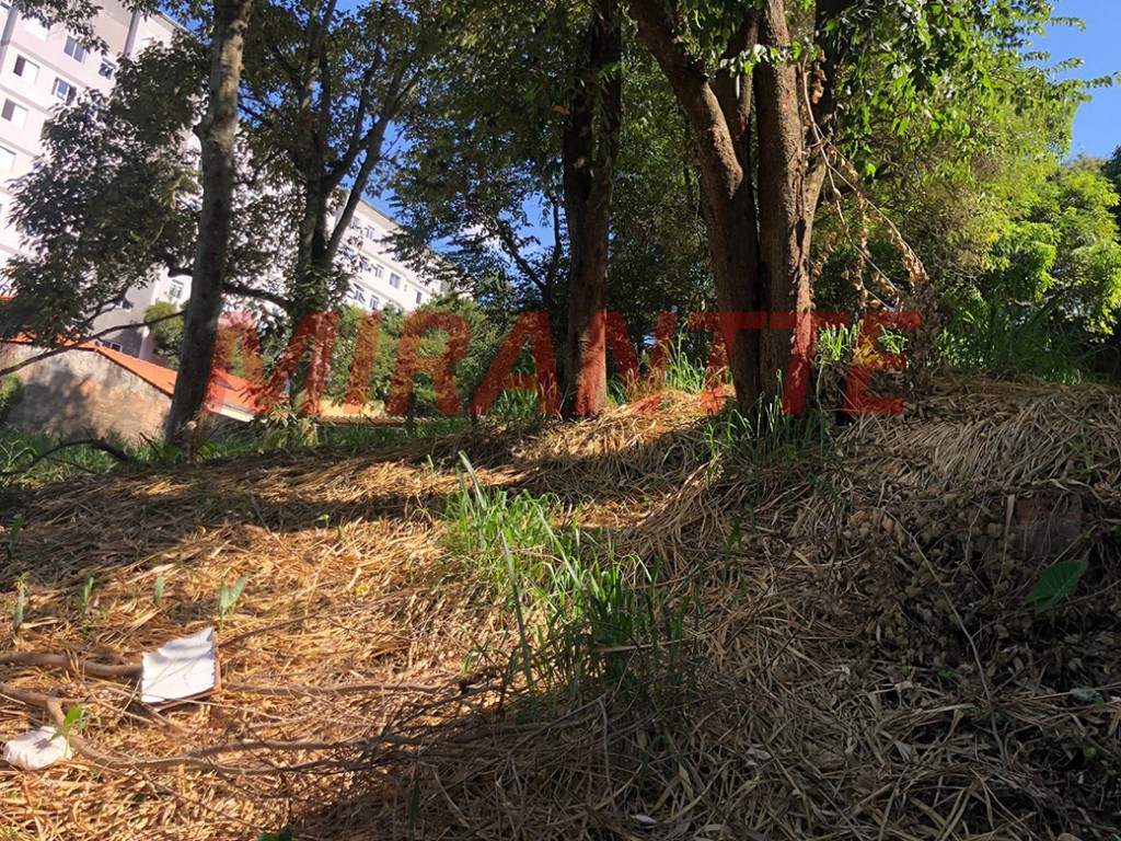 Terreno de 540m² em Vila Irmaos Arnoni
