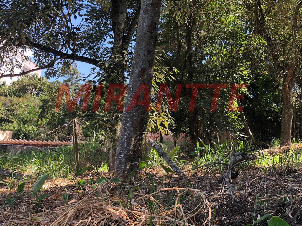 Terreno de 540m² em Vila Irmaos Arnoni