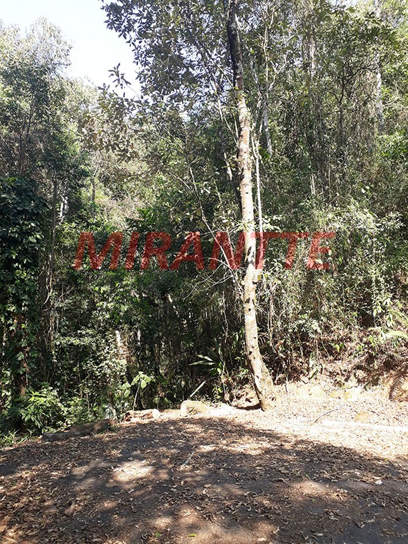 Terreno de 1746m² em Serra Da Cantareira