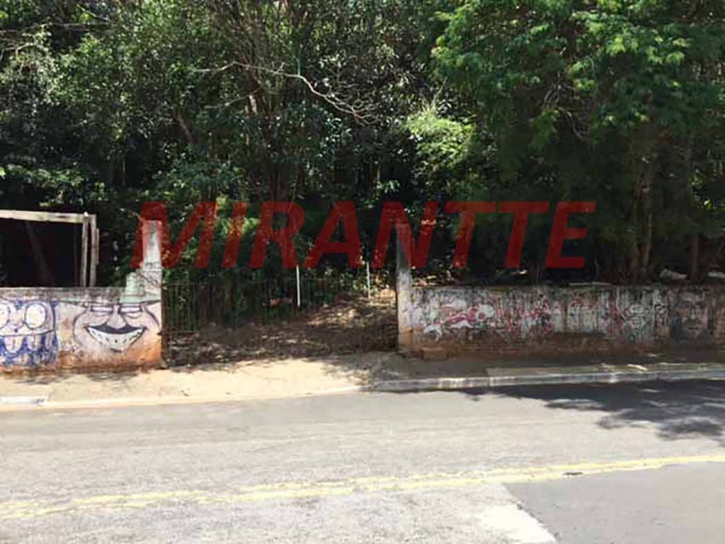 Terreno de 5222m² em Horto Florestal