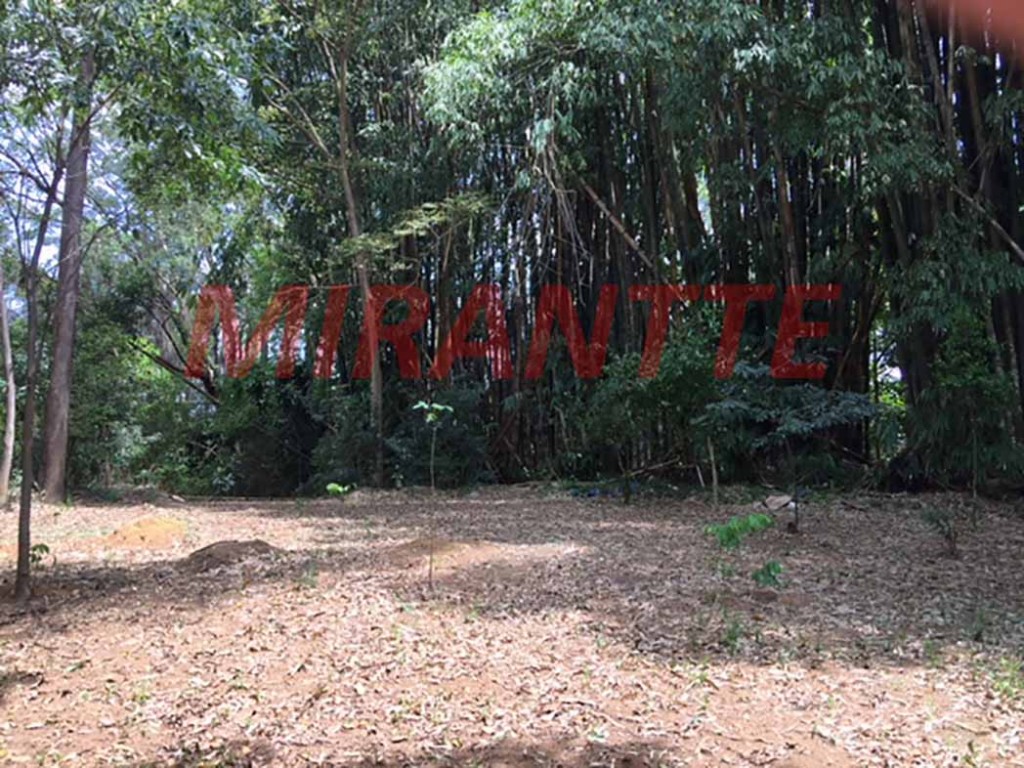Terreno de 5222m² em Horto Florestal
