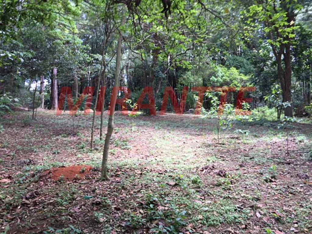 Terreno de 5222m² em Horto Florestal