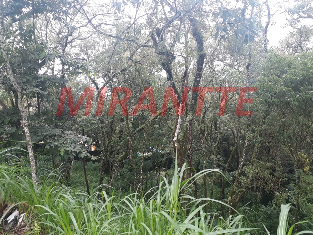 Terreno de 1300m² em Serra Da Cantareira