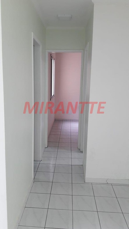 Apartamento de 48m² com 2 quartos em Vila Amelia