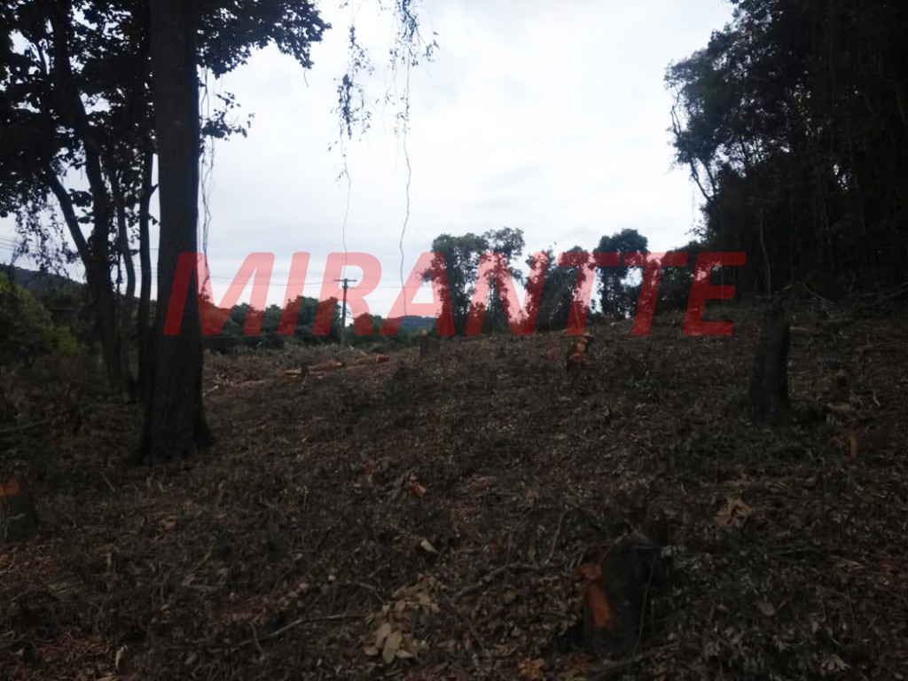 Terreno de 7500m² em Serra Da Cantareira