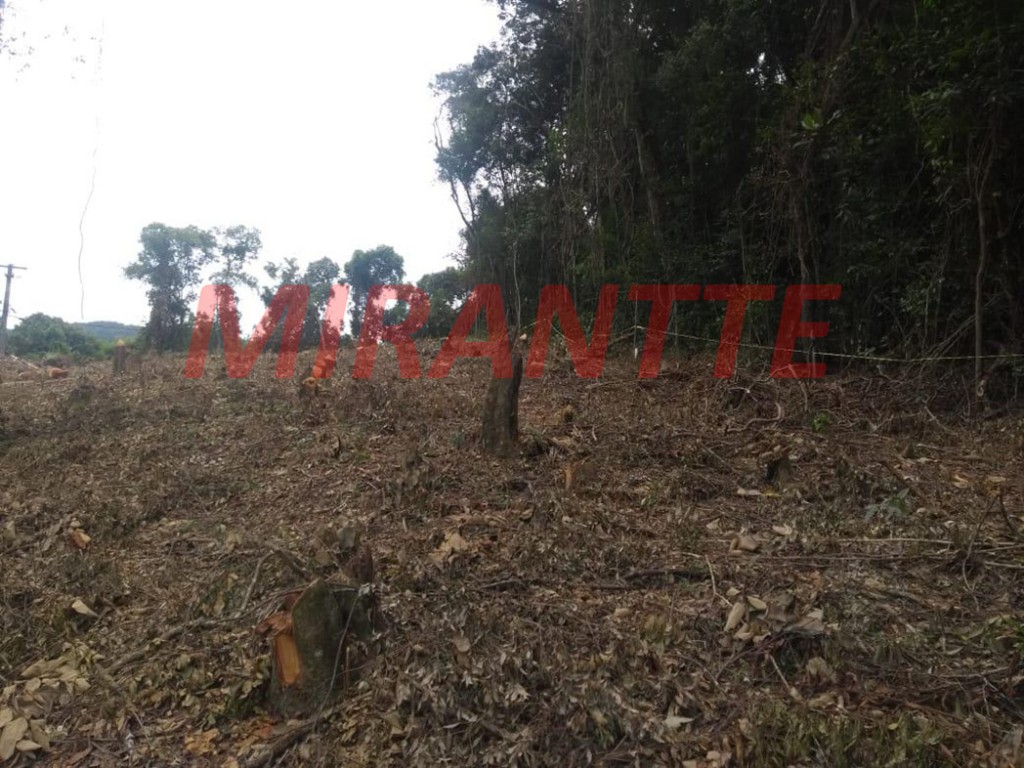 Terreno de 7500m² em Serra Da Cantareira