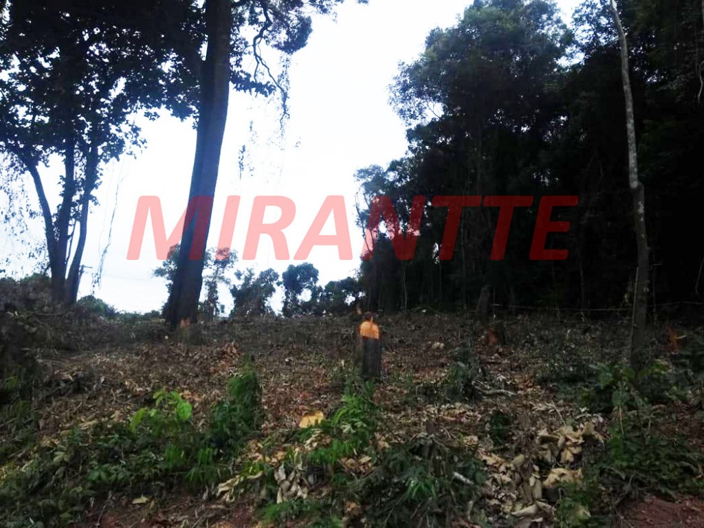 Terreno de 7500m² em Serra Da Cantareira