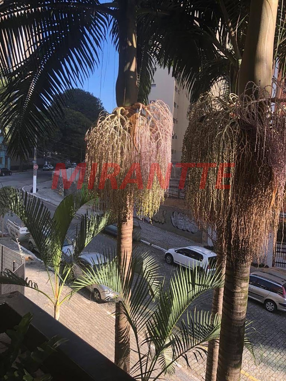 Apartamento de 103m² com 3 quartos em Vila Mariana