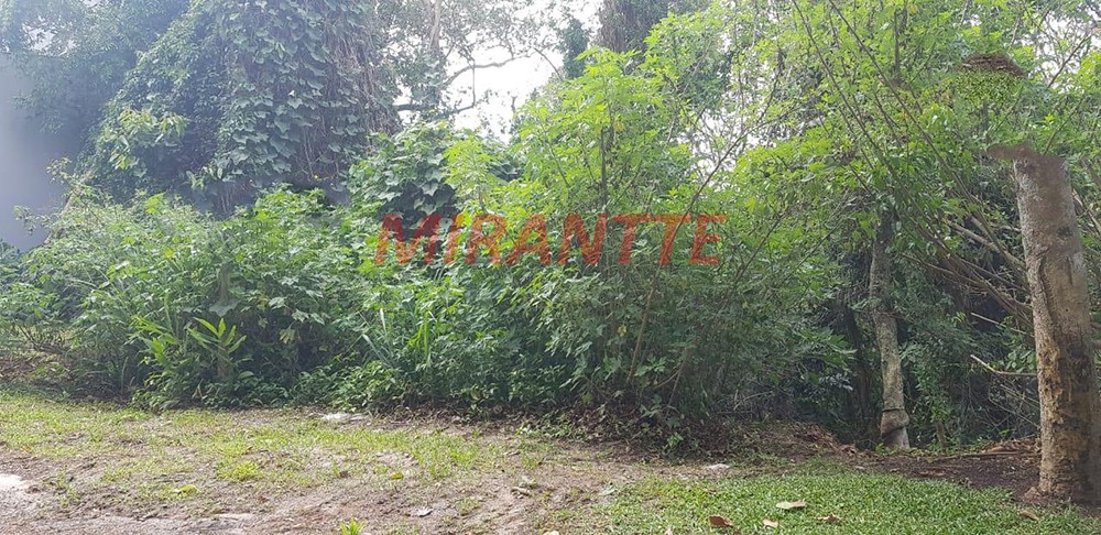 Terreno de 1959m² em Serra Da Cantareira