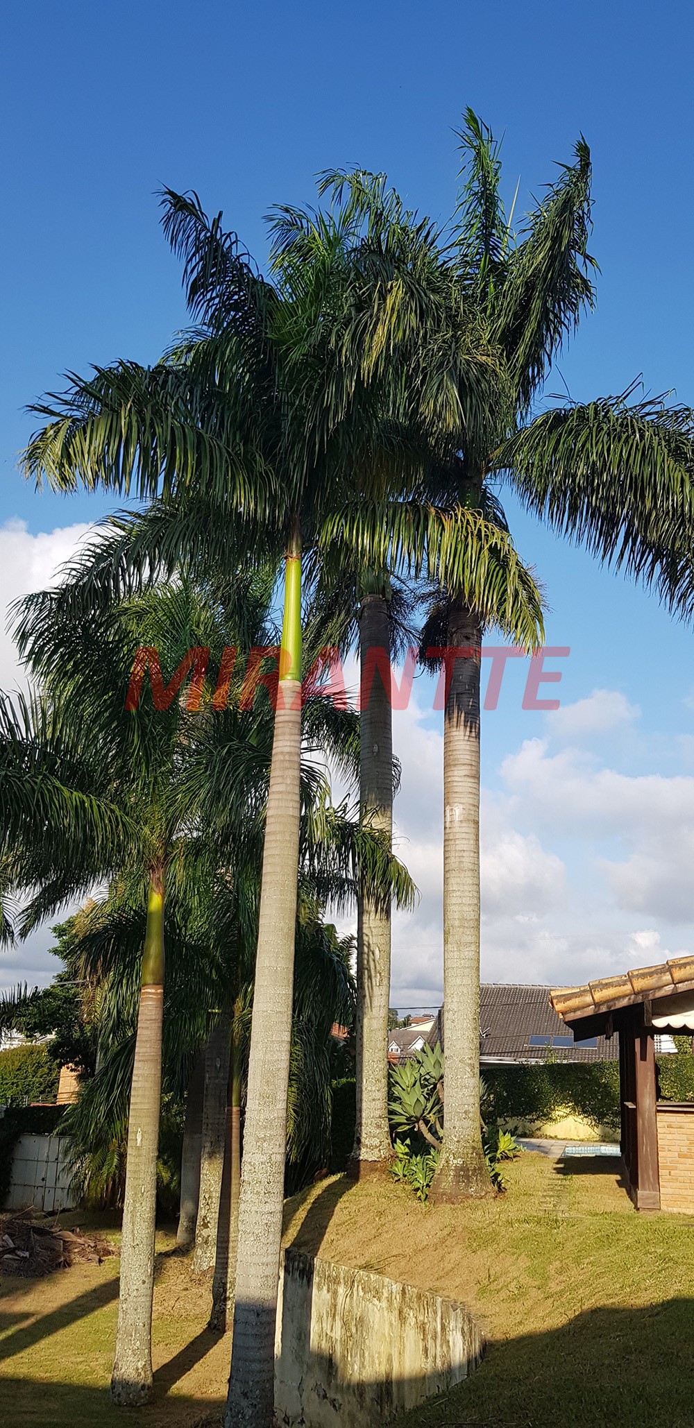 Casa terrea de 572m² com 3 quartos em CENTRO