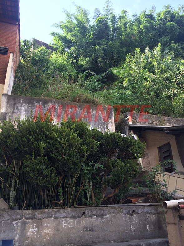 R2 Image 248032 #10