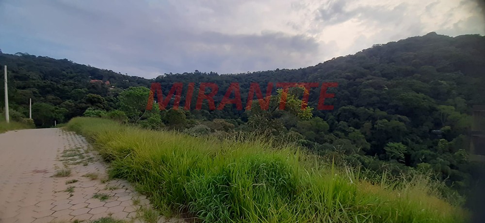 Terreno de 1036m² em Serra da Cantareira