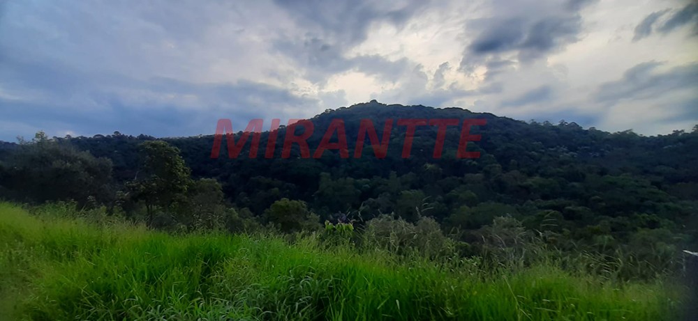 Terreno de 1036m² em Serra da Cantareira