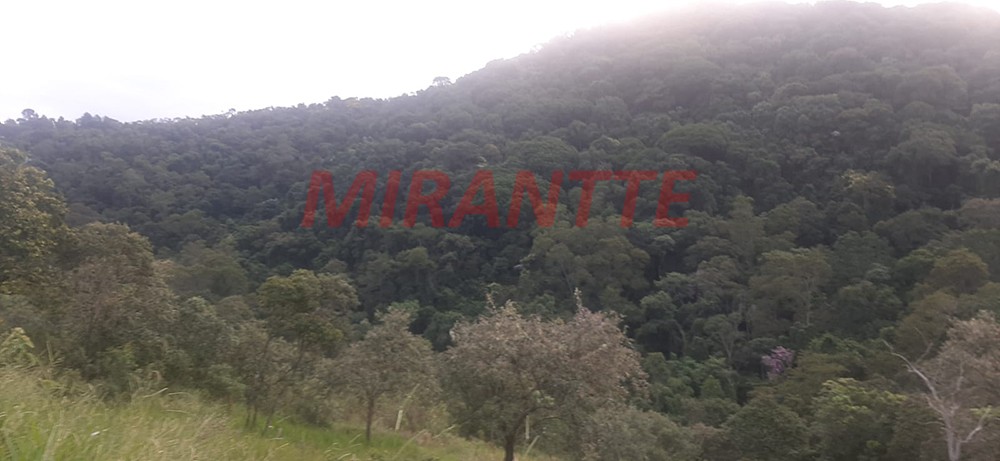 Terreno de 1036m² em Serra da Cantareira