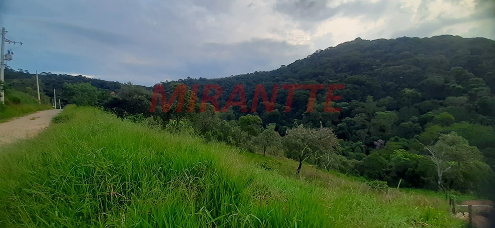 Terreno de 1036m² em Serra da Cantareira