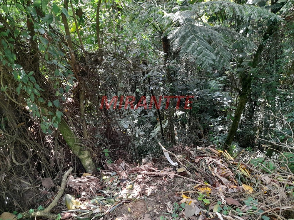 Terreno de 5455m² em Serra da Cantareira