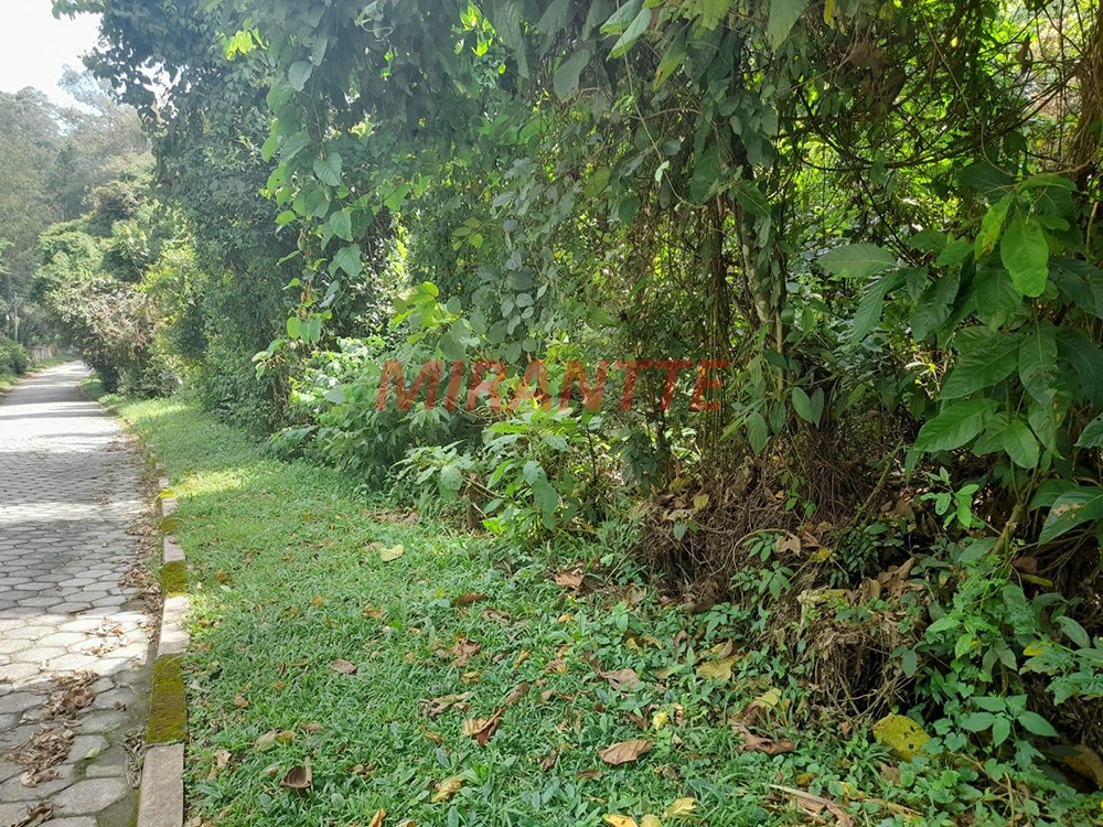 Terreno de 5455m² em Serra da Cantareira