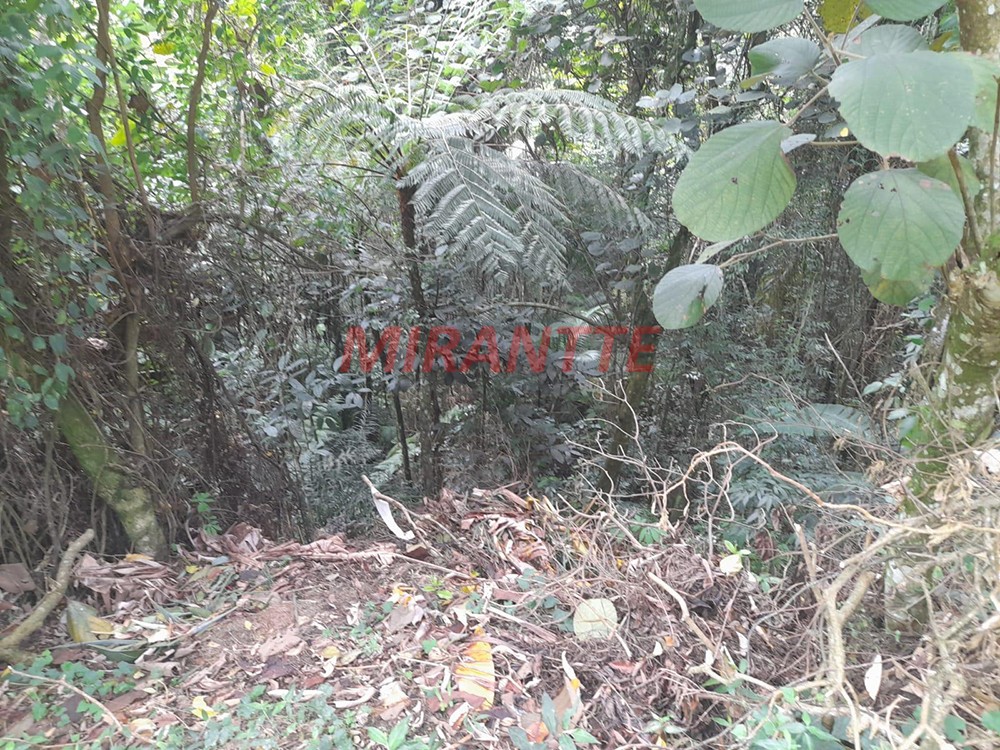 Terreno de 5455m² em Serra da Cantareira