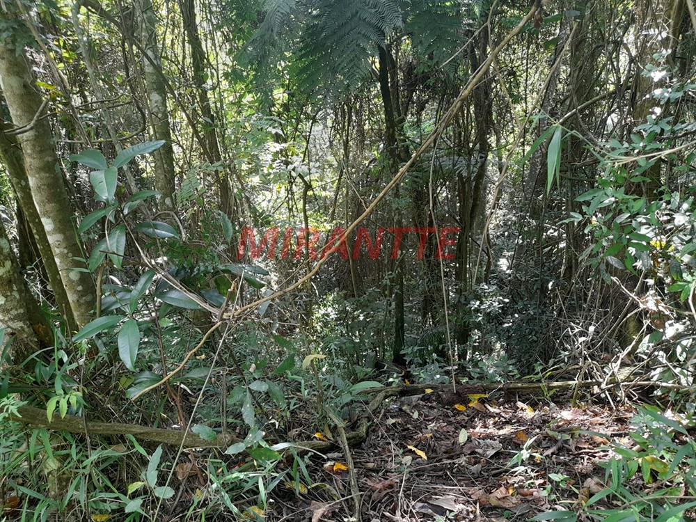 Terreno de 5037m² em Serra da Cantareira