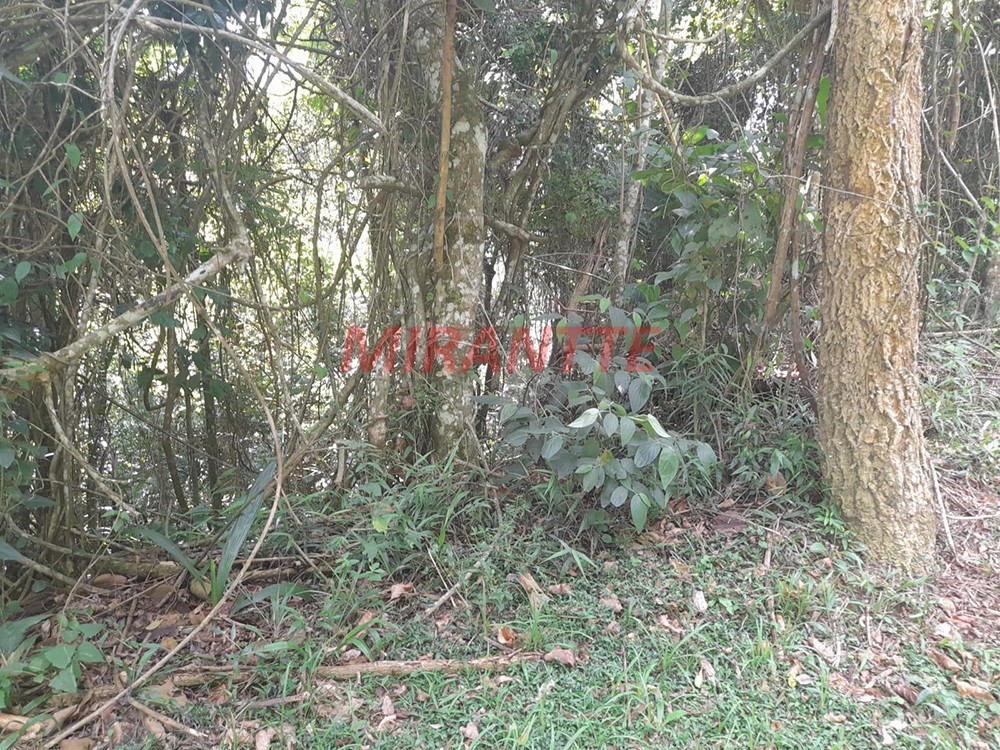 Terreno de 5037m² em Serra da Cantareira