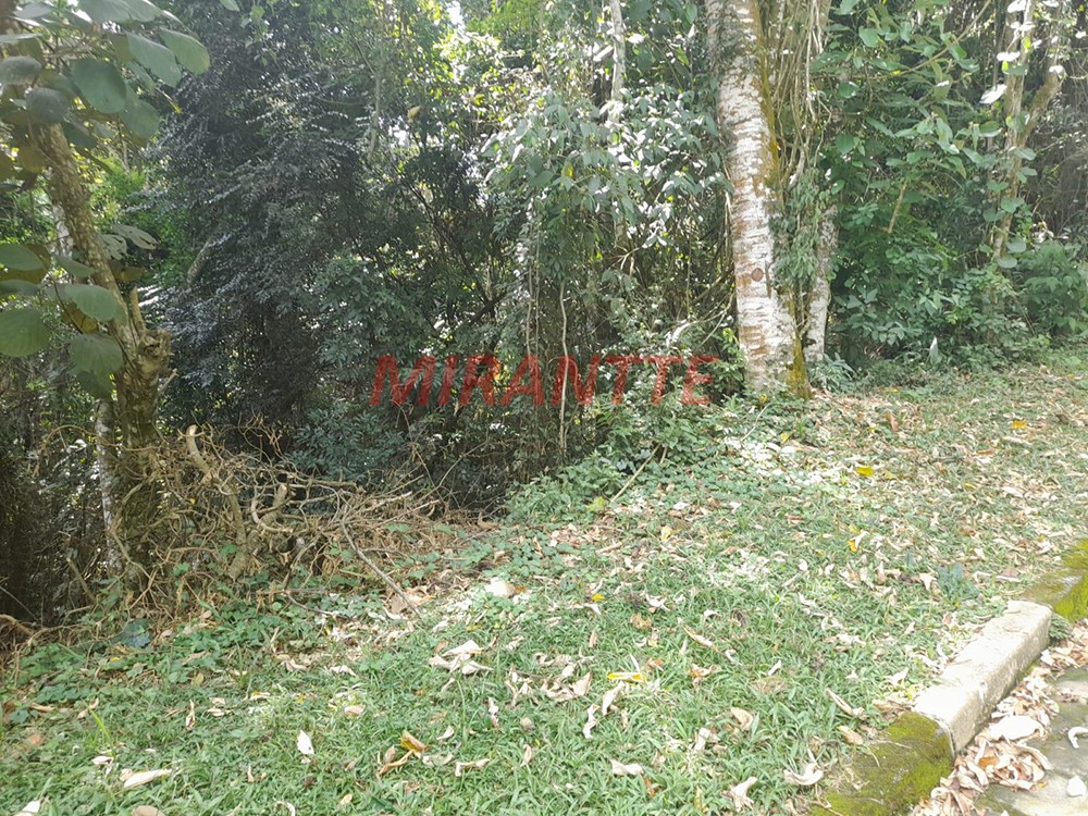Terreno de 5037m² em Serra da Cantareira