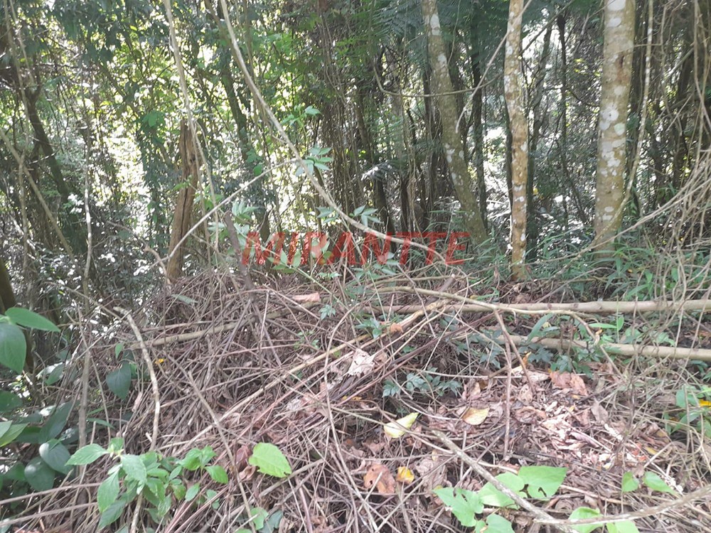 Terreno de 5037m² em Serra da Cantareira