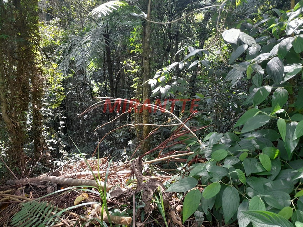 Terreno de 5037m² em Serra da Cantareira