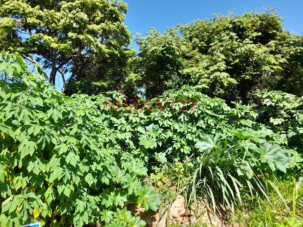 Terreno de 457m² em Centro – Mairiporã