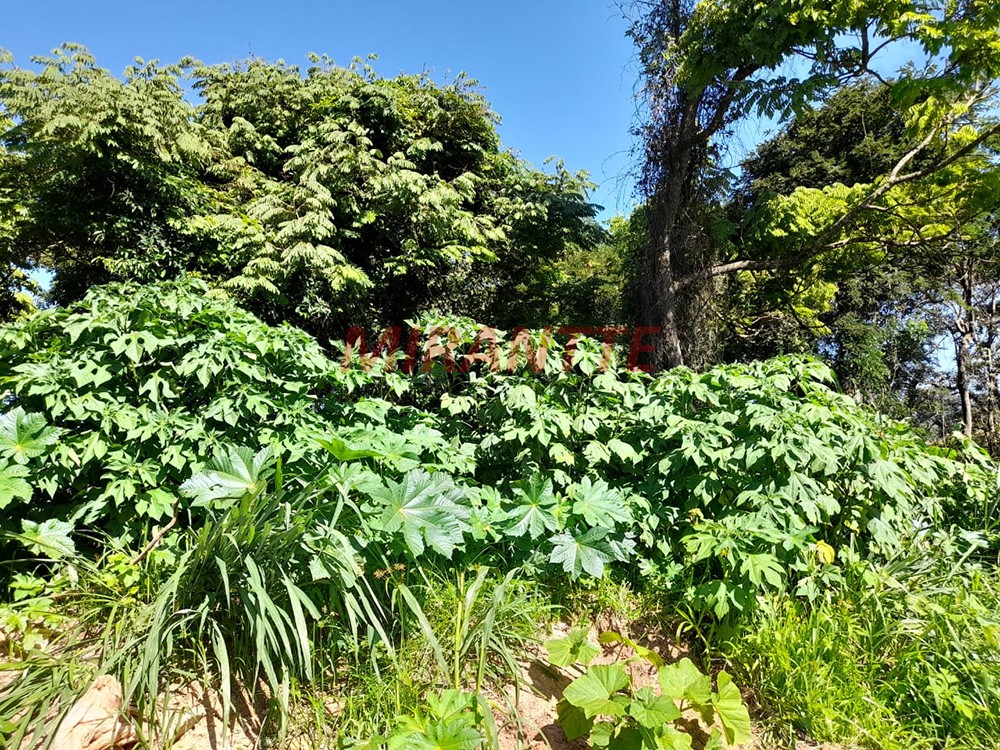 Terreno de 457m² em Centro – Mairiporã