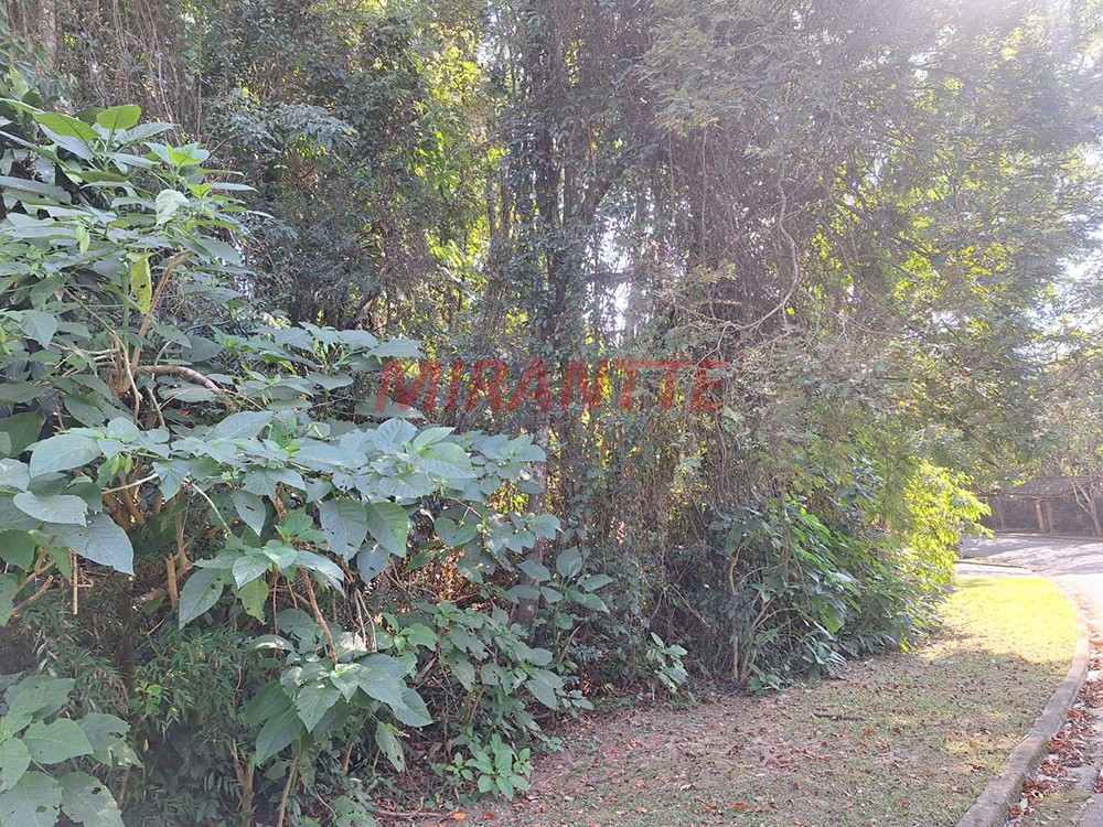 Terreno de 1.802m² em Serra Da Cantareira