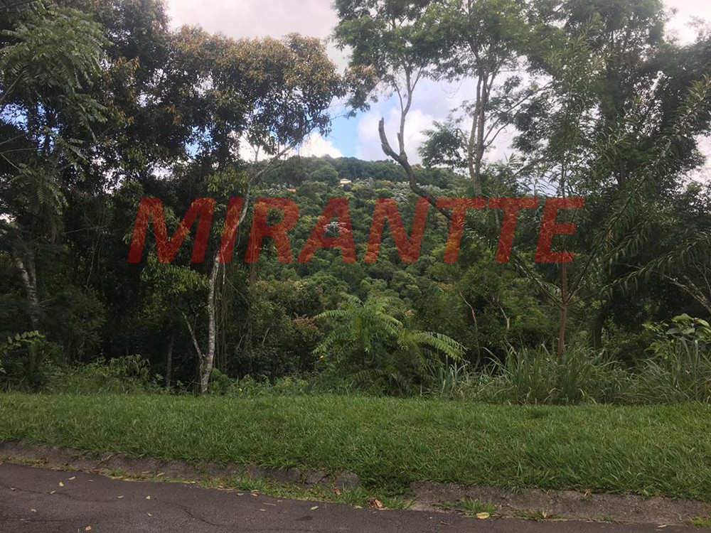 Terreno de 1300m² em Serra da Cantareira