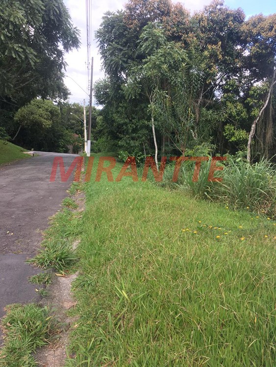 Terreno de 1300m² em Serra da Cantareira