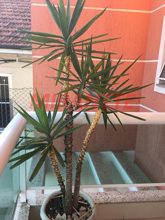 Sobrado de 147m² com 3 quartos em Vila Mazzei