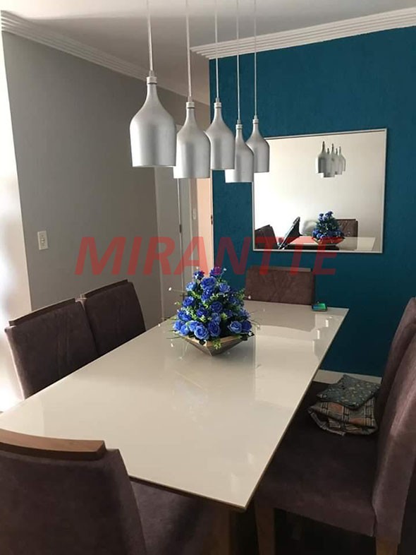 Apartamento com 3 quartos em Vila Amalia
