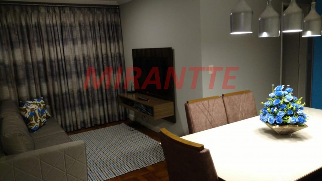 Apartamento com 3 quartos em Vila Amalia
