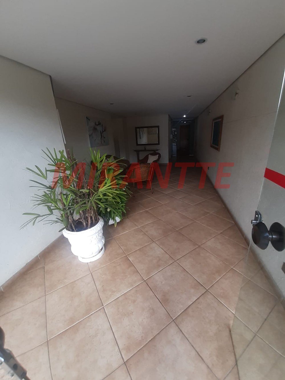 Apartamento de 71m² com 3 quartos em Mandaqui