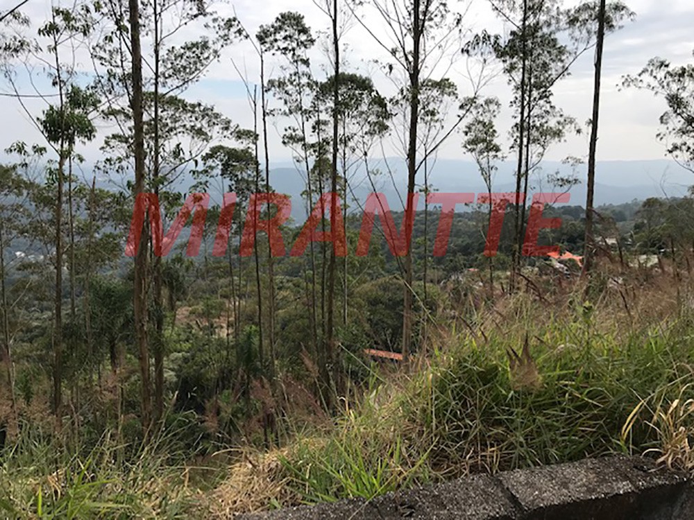 Terreno de 12000m² com 4 quartos em Serra da Cantareira