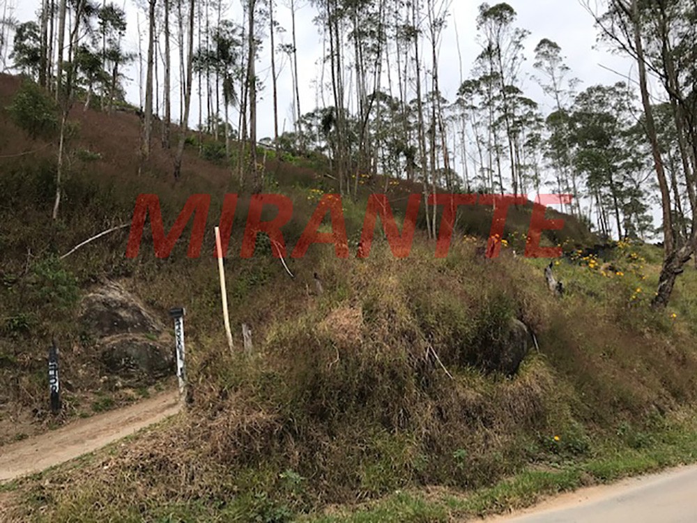 Terreno de 12000m² com 4 quartos em Serra da Cantareira