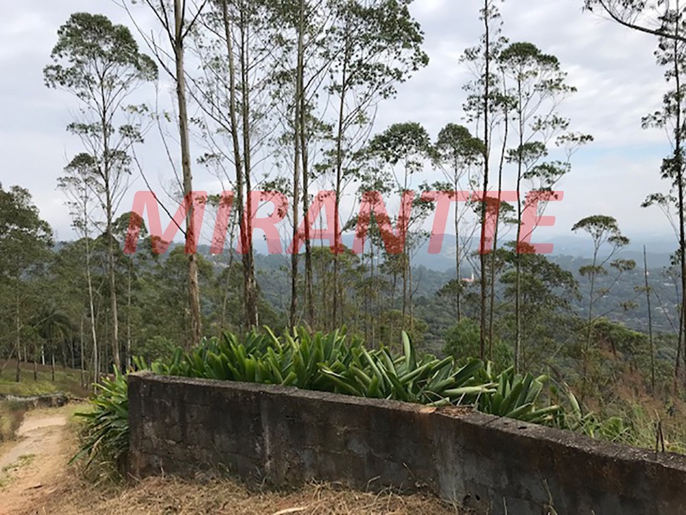 Terreno de 12000m² com 4 quartos em Serra da Cantareira