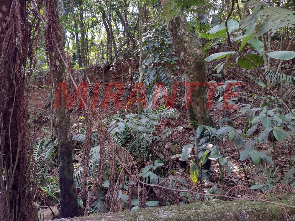 Terreno de 2.353m² em Tremembe