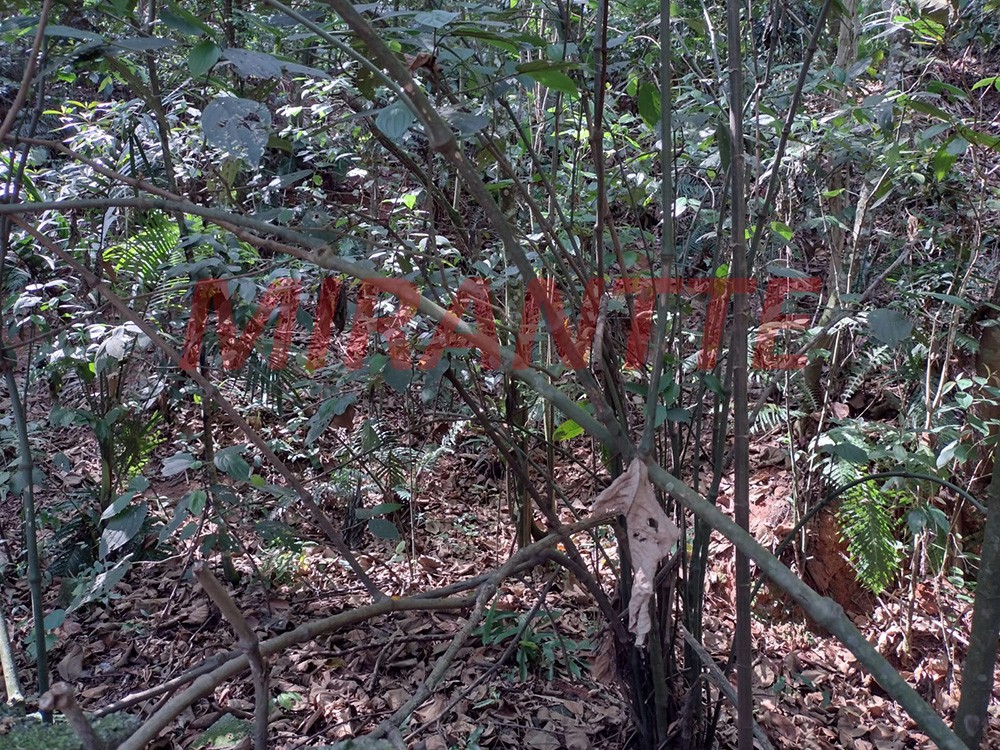 Terreno de 750m² em Tremembe