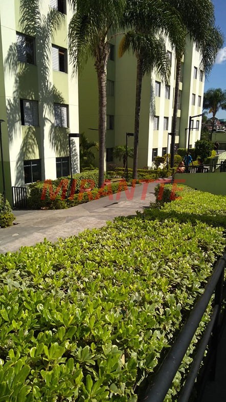 Apartamento de 47m² com 2 quartos em Vila Amelia