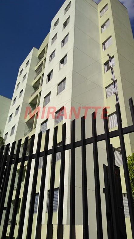 Apartamento de 47m² com 2 quartos em Vila Amelia
